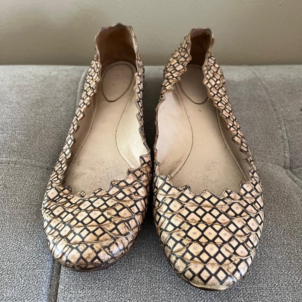 Chloe Snakeskin Scallop Ballet Flats EU 36